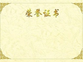 荣誉证书 (2)